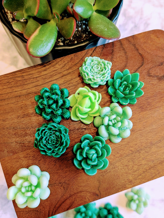 Lush Succulents Tallow Wax Melts